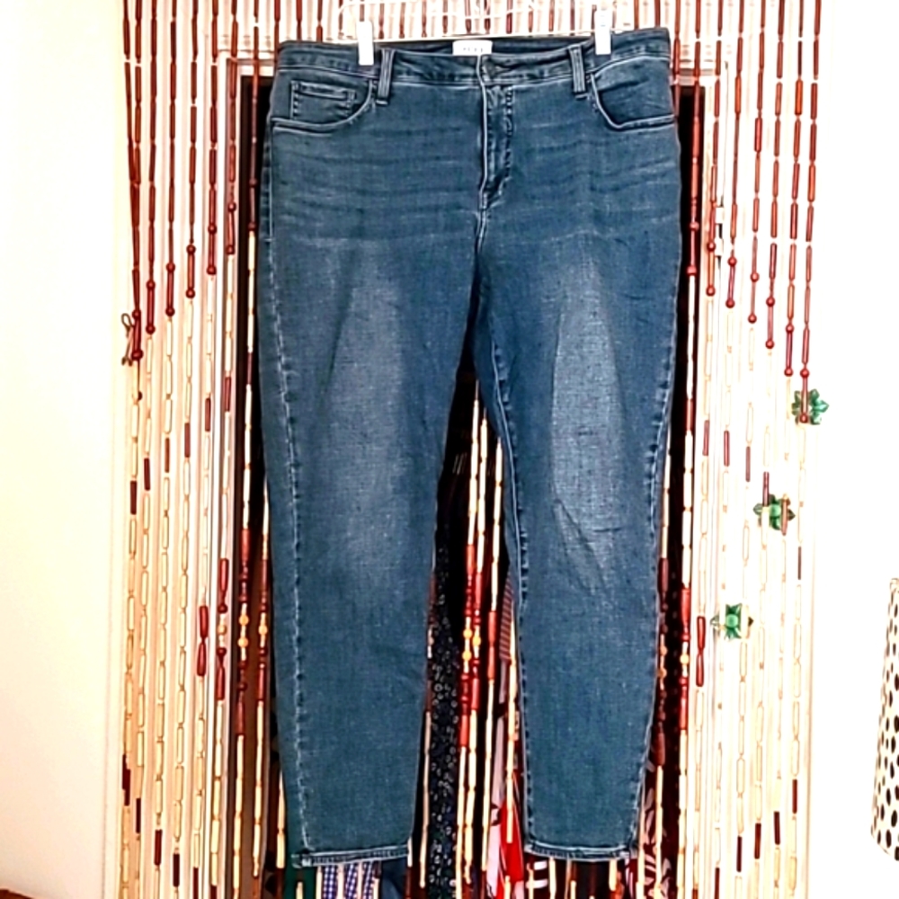 Stitch Fix PISTOLA Arielle Soft Stretchy Skinny Jean Medium Wash 16W